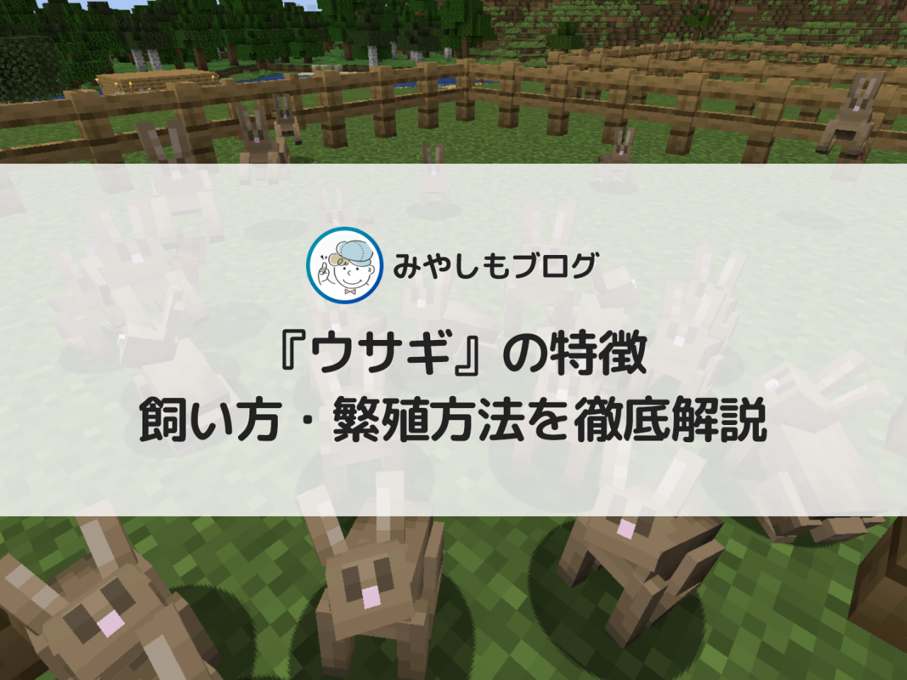 マイクラ うさぎ 安い ペット