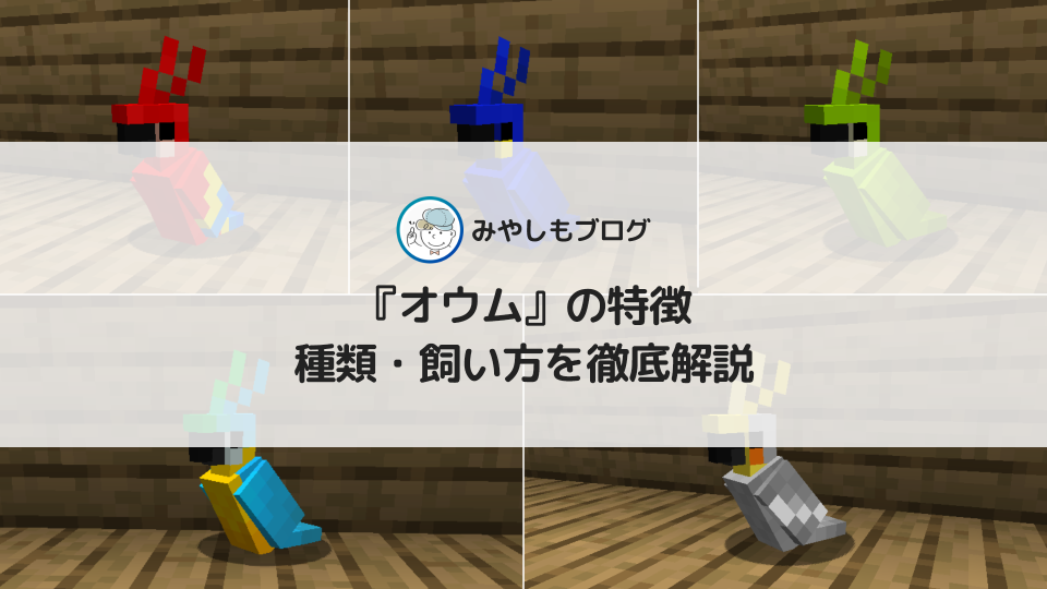 マイクラの『オウム』とは？特徴や種類・飼い方について解説する