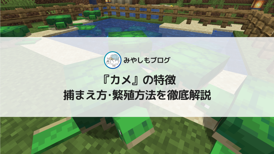 マイクラの『カメ(ウミガメ)』とは？特徴や捕まえ方・繁殖方法を解説する